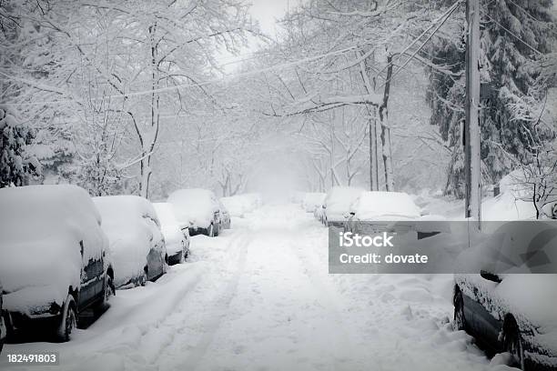 Burza Śnieżna - zdjęcia stockowe i więcej obrazów Burza śnieżna - Burza śnieżna, Śnieg, Zima