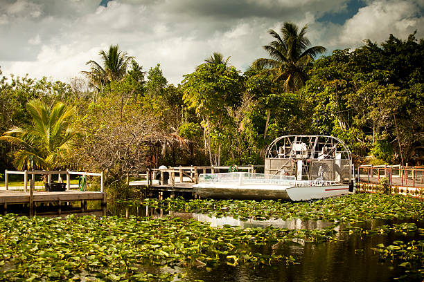 Swamp boat floats into the Everglades National Park Florida USA