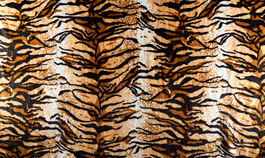 A fabric with the tiger fur pattern