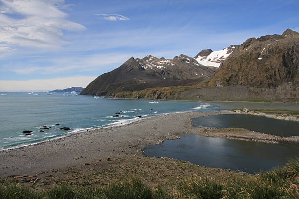 istock Gold Harbour on South Georgia 182492613