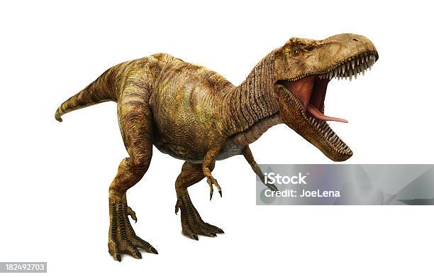 Tyrannosaurus Rex Stockfoto und mehr Bilder von Dinosaurier - Dinosaurier, Tyrannosaurus Rex, Weißer Hintergrund
