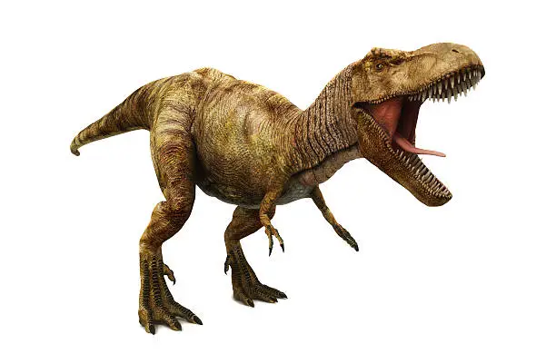 Photo of Tyrannosaurus rex