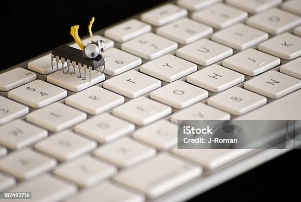 Keyboard Insect Computer Bug On Keyboard Stock Photo - Download Image Now - Black ...