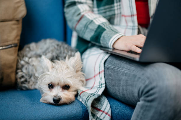 istock Woman uses a laptop on the train 1824929851