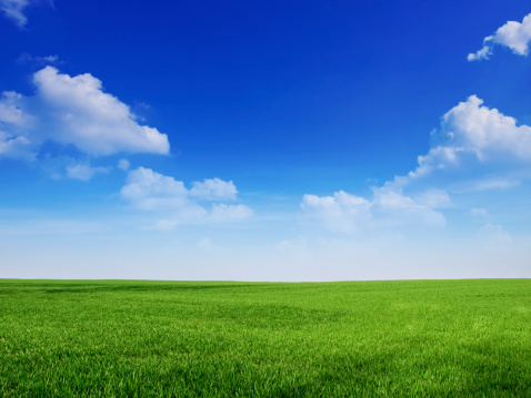 peaceful blue sky and green grass great as backround