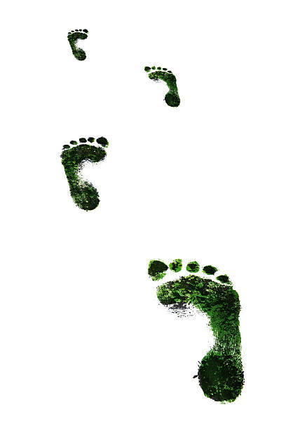 istock Polluted green footprints - isolated XX 182493200