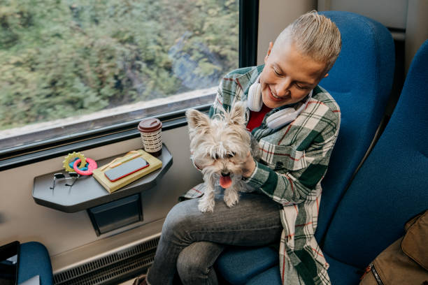 istock Dog traveling by train with his owner 1824934147