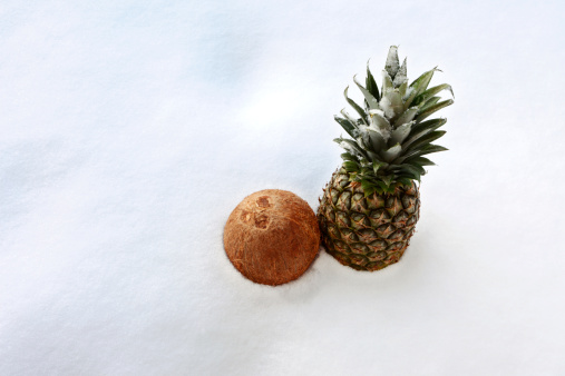 Tropical fruits in snow.