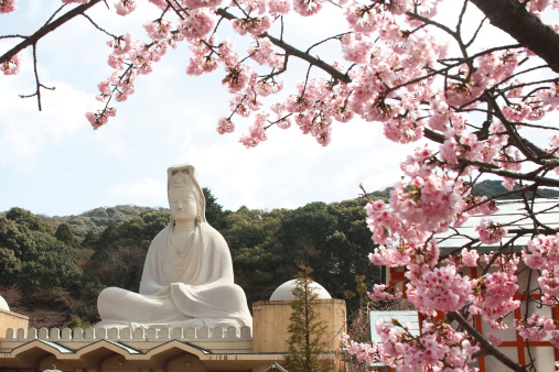 quan yin goddess of mercy kyoto in spring.