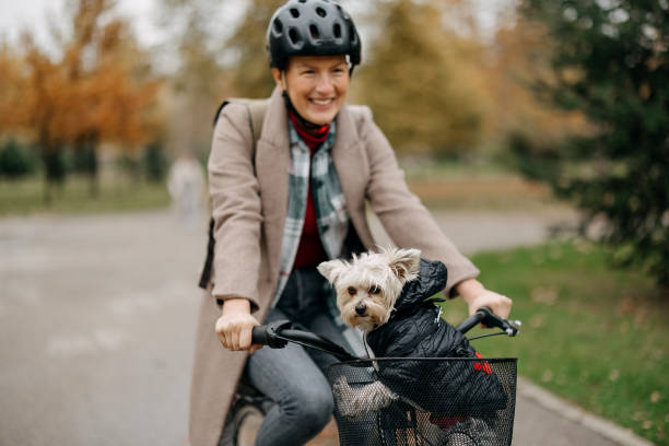istock Riding a bike with her dog 1824942814