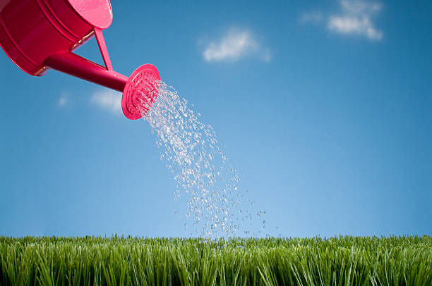 istock Watering Can Showering The Grass 182495078