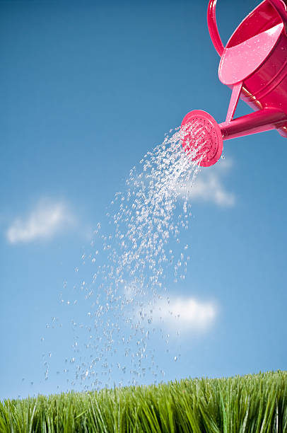 istock Watering Can Showering The Grass 182495397