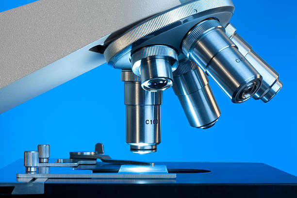 Detail of microscope with slide.