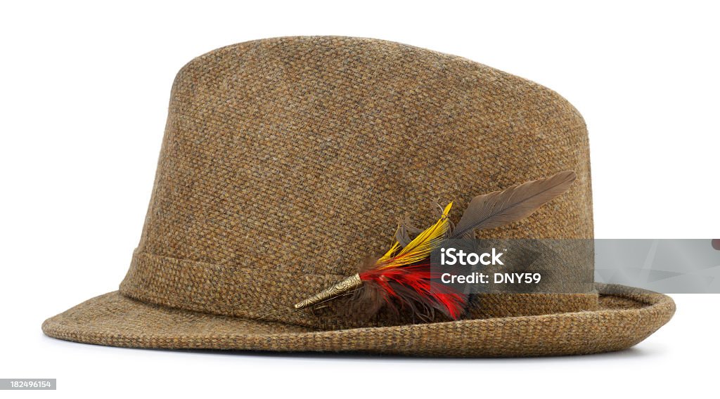 Brauner tweed-fedora-Hut mit Federn Accessoires - Lizenzfrei Accessoires Stock-Foto