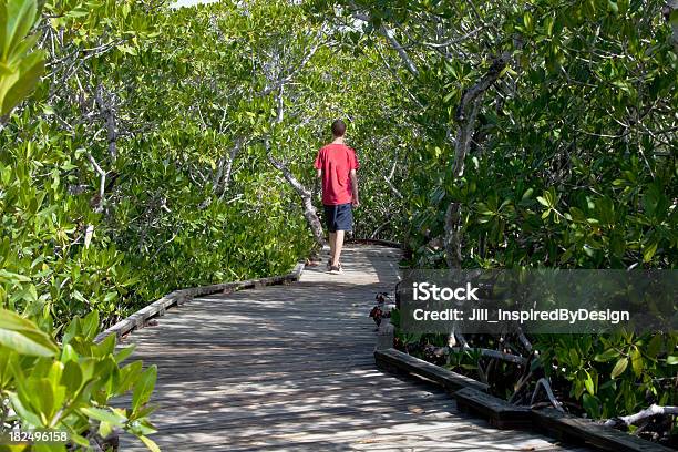 Quiet Footpath At John Pennekamp State Park Stock Photo - Download Image Now - 14-15 Years, Active Lifestyle, Boardwalk