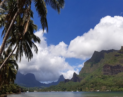 Cook's Bay (also known as Paopao Bay) is a 3-km long bay on the north coast of the island of Mo'orea, Tahiti. It is one of the two principal bays on the island.