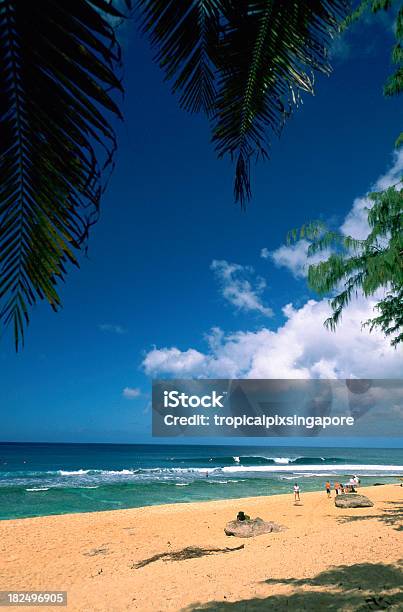 米国ハワイ Oahu ノースョアサンセットビーチです - アメリカ合衆国のストックフォトや画像を多数ご用意 - アメリカ合衆国, オアフ島, オアフ島 ノースショア