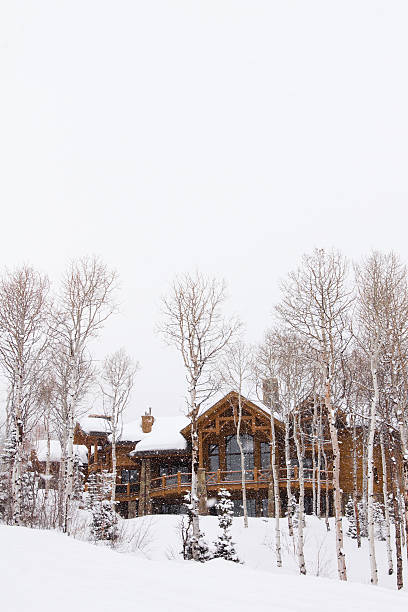Luxurious Utah mountain lodge in Winter scenic. stock photo
