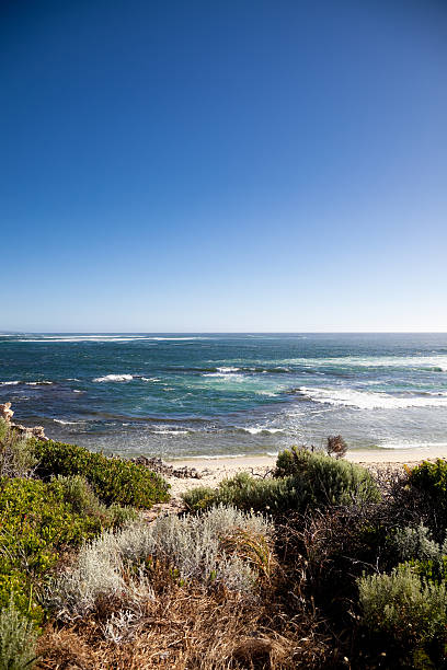 istock Western Australia Lonely Beach 182497640