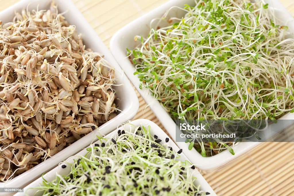 Sprouts - Lizenzfrei Alfalfasprosse Stock-Foto