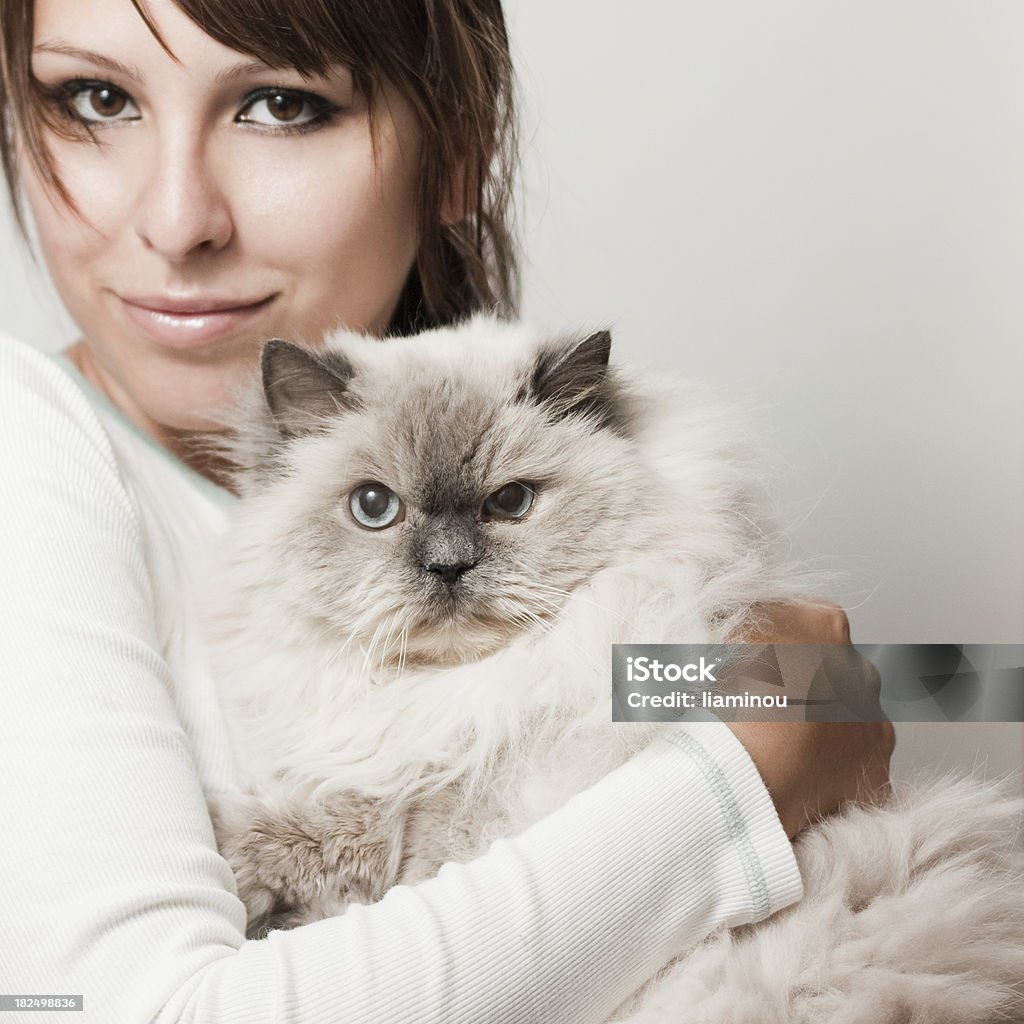 cat girl holding a catmore with this model: Domestic Cat Stock Photo