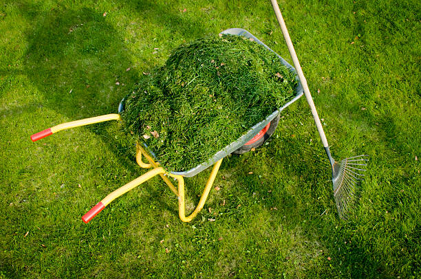 Garden Rake and Wheelbarrow Prepared for Spring Landscaping