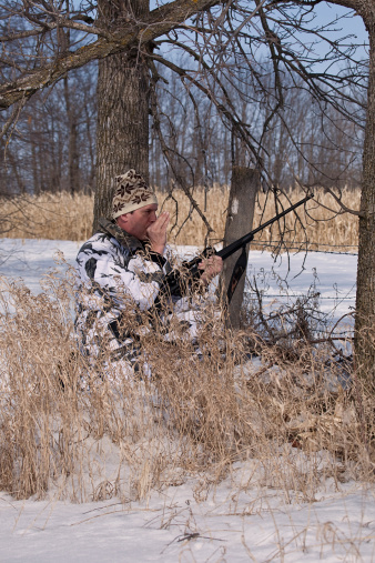 A varmint hunter calling coyote