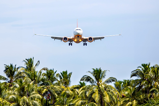 passenger plane flies over palm trees. air transport industry