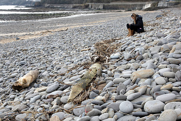 istock Large tree trunk driftwood on the shore 182500217