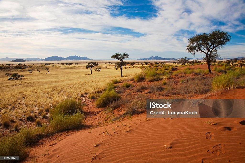 Reservat Duenen - Lizenzfrei Semiarid Stock-Foto