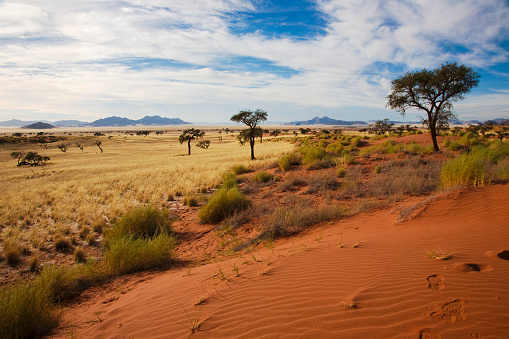 Outlook over the Kuiseb pass viewpoint in Namibia, an area that strongly resembles a lunar landscape.