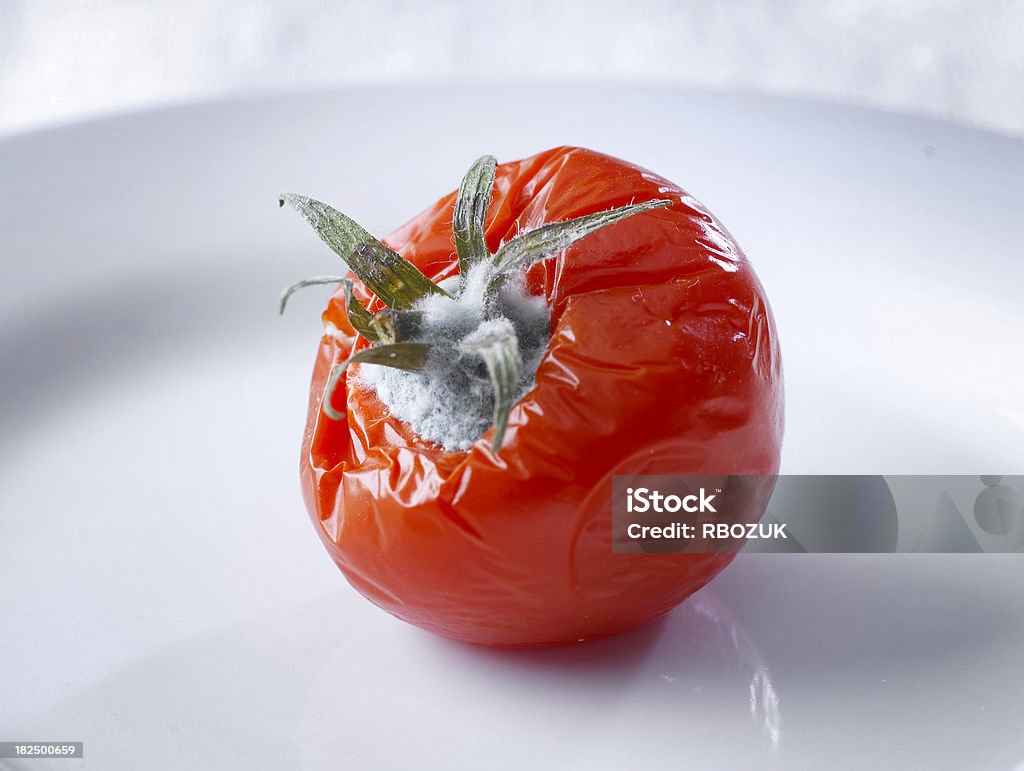 Moldy tomate - Photo de Aliment libre de droits