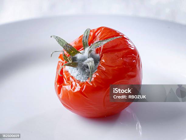 Photo libre de droit de Moldy Tomate banque d'images et plus d'images libres de droit de Aliment - Aliment, Assiette, Moisissure