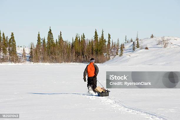 Photo libre de droit de La Marche En Raquettes Dans La Région Arctique Yellowknife banque d'images et plus d'images libres de droit de Activité de loisirs