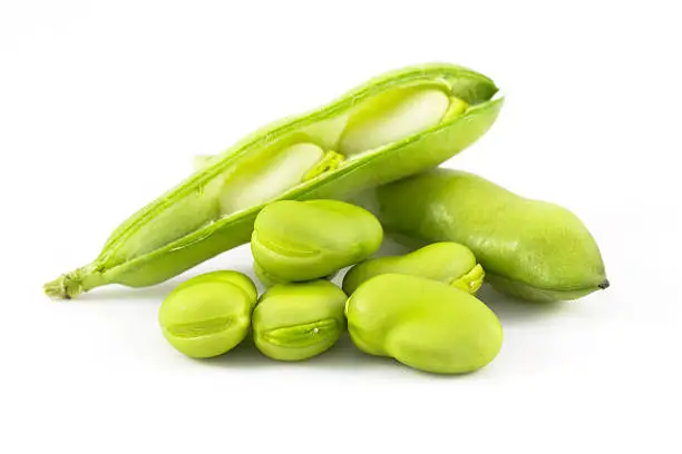 Photo of Broad Bean