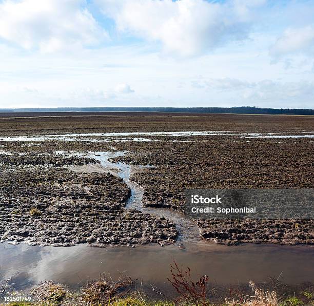 Erosão Em Um Campo - Fotografias de stock e mais imagens de Agricultura - Agricultura, Erodido, Solo