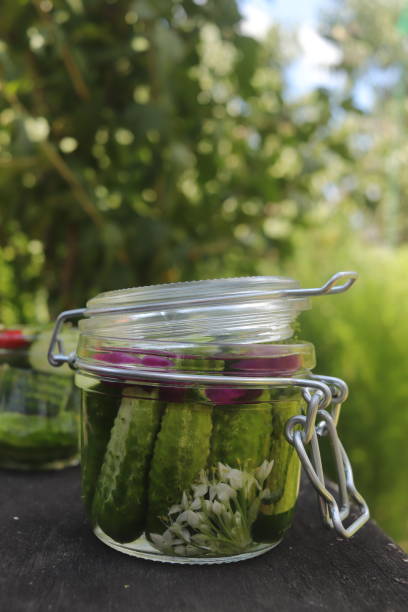 istock organic pickled fermented cucumbers in a jar 1825019553