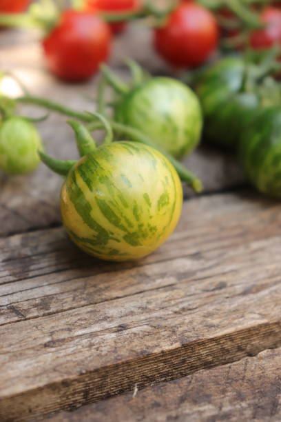 istock Beautiful organic varietal tomatoes close-up on the table 1825020610