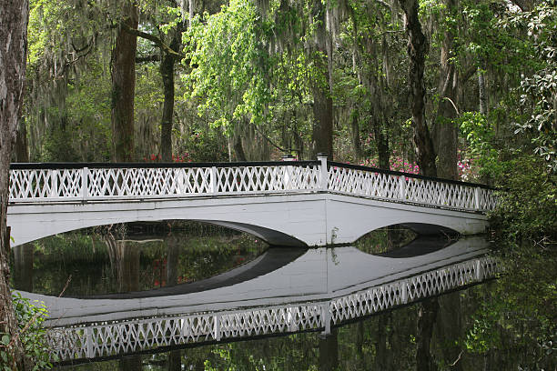 istock Reflection on a southern garden with white bridge 182502126