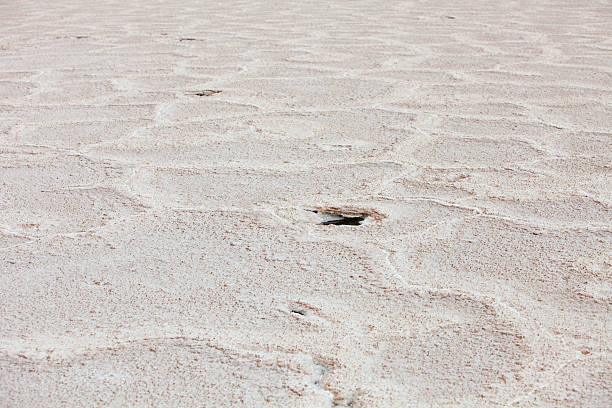 istock Salt flats detail 182502302
