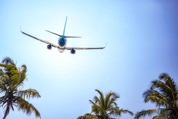 istock passenger plane flies over palm trees. air transport industry 1825023601