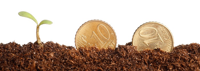 Two 10 euro cents planted to brown soil next to a growing sprout (Adobe RGB)SIMILAR IMAGES: