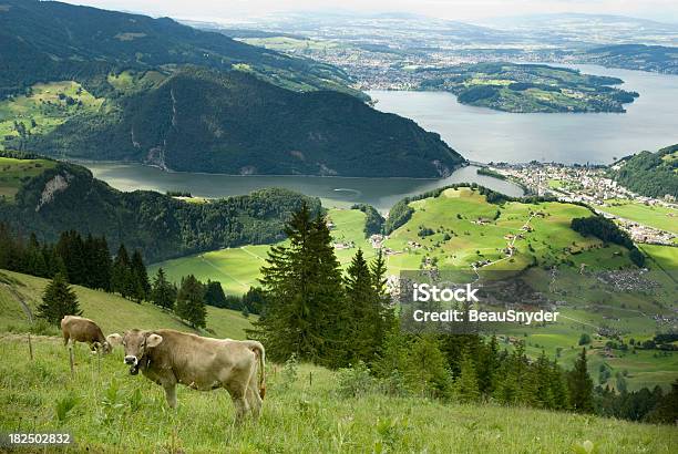 Foto de Pastando e mais fotos de stock de Agricultura - Agricultura, Aldeia, Alpes europeus