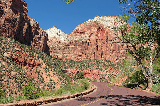 istock Typical road through the Zion National Park 182504014