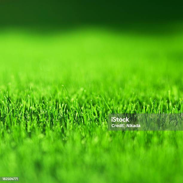 Erba Verde - Fotografie stock e altre immagini di Campo da calcio - Campo da calcio, Prato rasato, Agricoltura