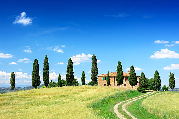 istock Landscape - Cottage on green knoll 182504949