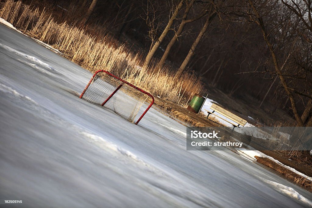 Alla fine della stagione di Hockey - Foto stock royalty-free di Composizione orizzontale