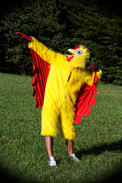 super chicken - tavuk kostümü stok fotoğraflar ve resimler