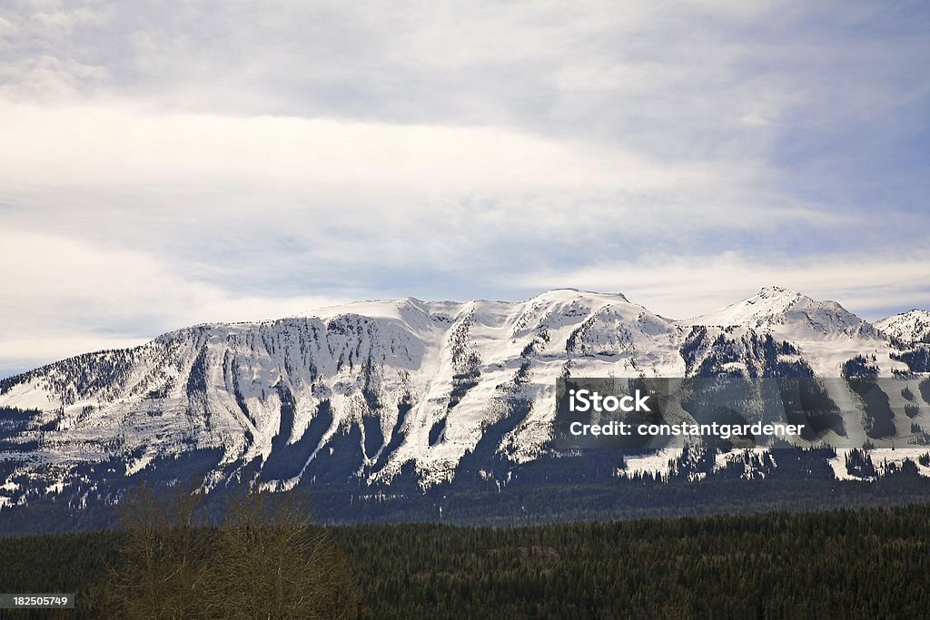 Snow Covered Mountain Panorama Mountain from distance. Ski runs on some hills. Evergreens in foreground. Some going brown. Blue Stock Photo