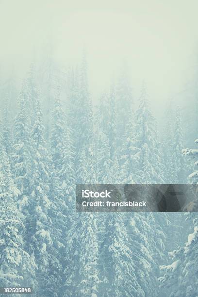 Мягкий Пастельный Зимний Фон Tress — стоковые фотографии и другие картинки Без людей - Без людей, Бореальный лес, Вертикальный